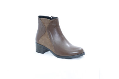 סילביה מגפון נוחות